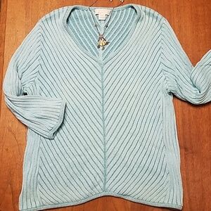 #060 Christopher & Banks Large Vneck Sweater